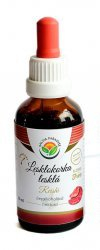 Lesklokorka lesklá tinktura bez alkoholu 50ml