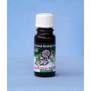 Vonný olej Kouzlo Vánoc 10 ml